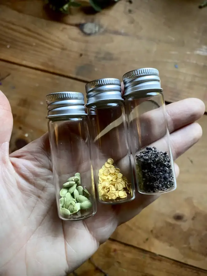 Mano sujetando tres frascos pequeños con semillas
